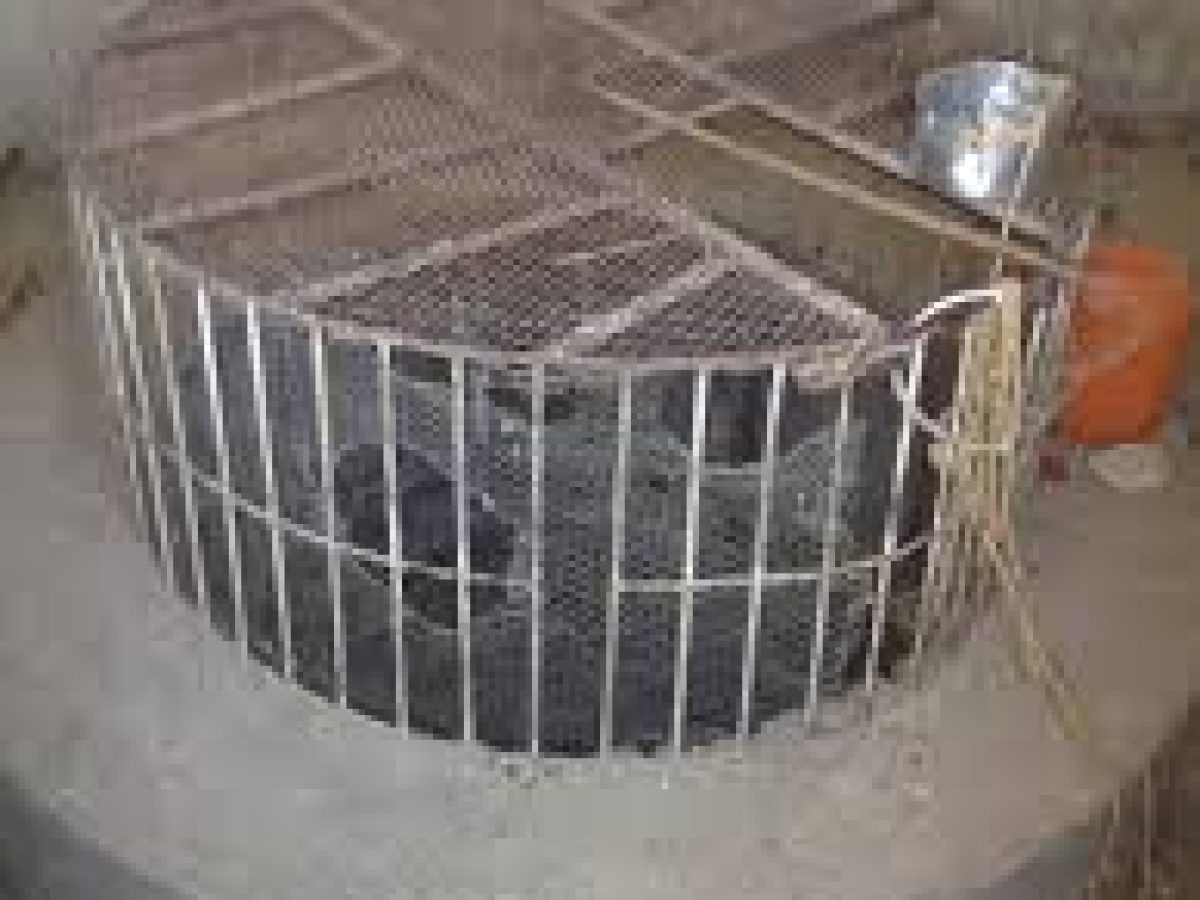 Birr Tuwa (The Well of Tuwa)